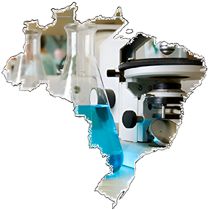 Trial Brazil Corretora De Seguros